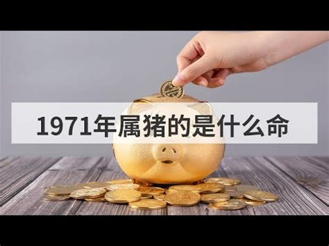 1971是什麼年|中華民國 內政部戶政司 全球資訊網